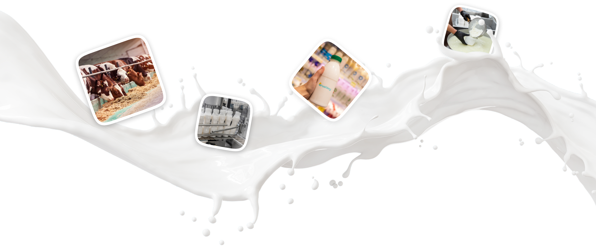 Milk Splash